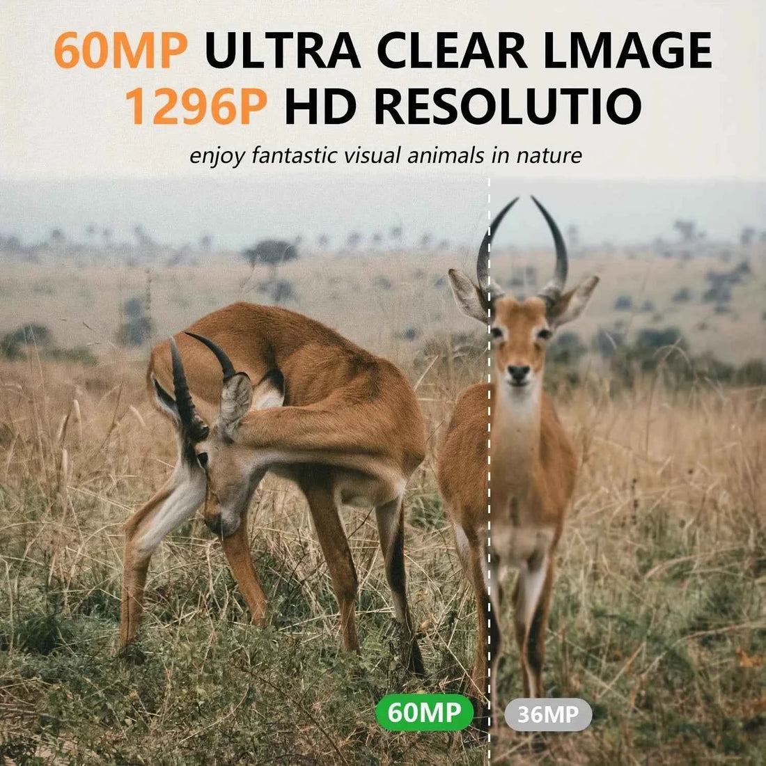 Fargarloo 60MP WiFi Trail Camera 3-Pack – 1296P HD, App Control, IP66, 32GB Each