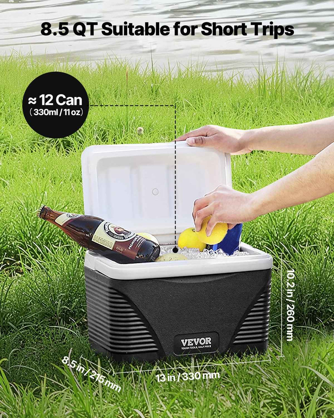 Portable Cooler 8.5 QT Insulated Hard Cooler 12 Can Capacity With Handles