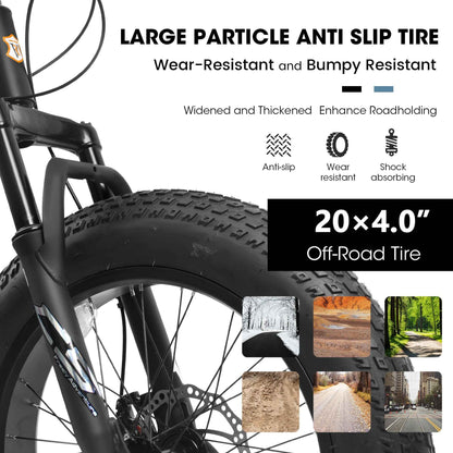 V20235 20 Inch Fat Tire Bike 7 Speed Mountain Bike, Dual Disc Brakes, High Carbon Steel Frame, Front Suspension, Mountain Buggy, City Commuter City Bike, Fat Tire Bike