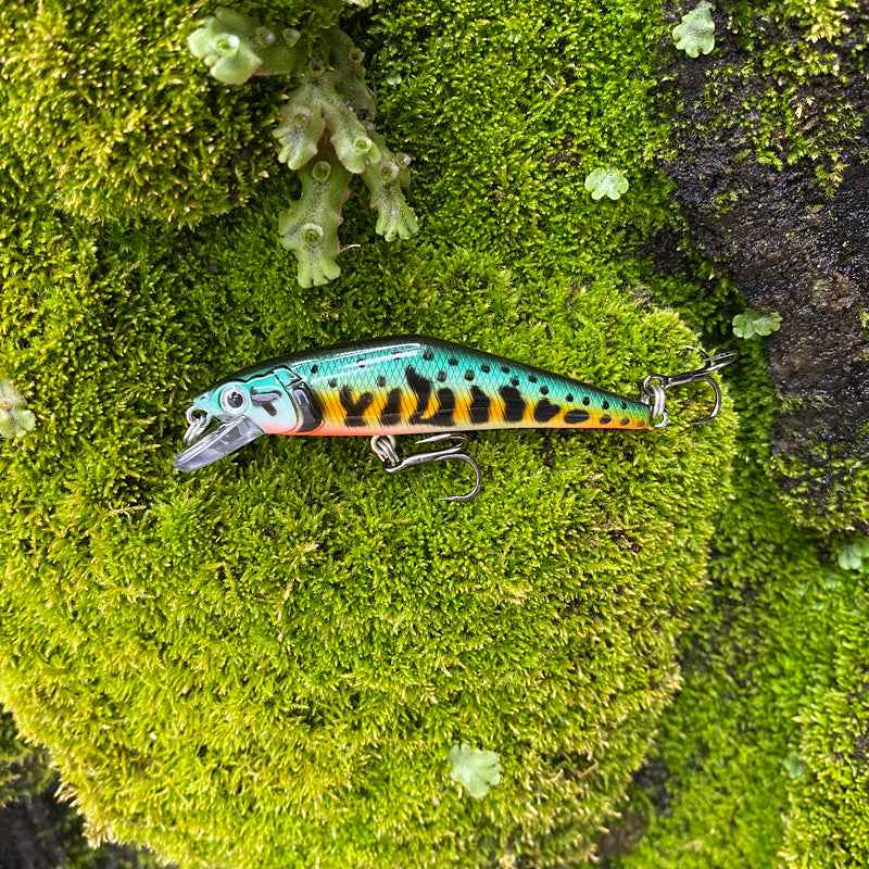 Fashion Personality Warped Mouth Bass Dummy Bait