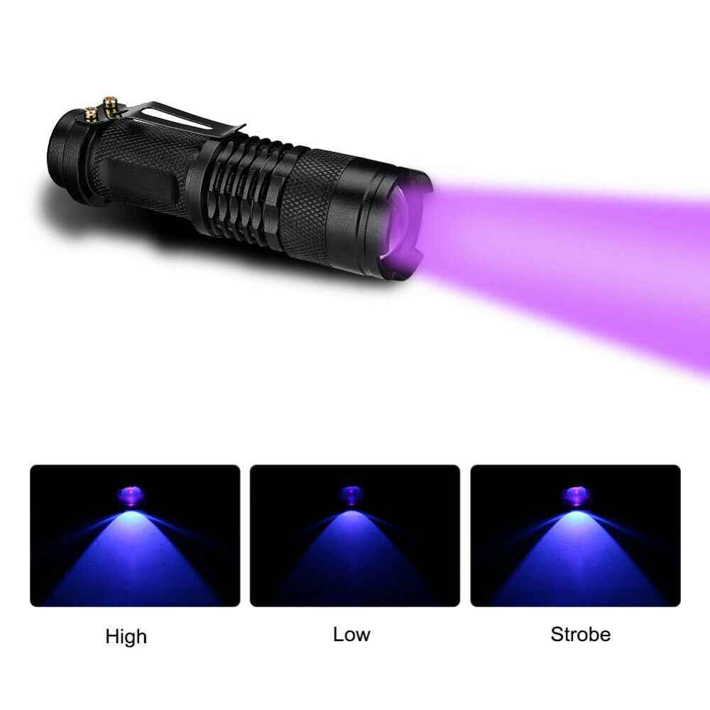2 Pack UV Flashlight LED Handheld Blacklight Ultra Violet Flashlight 395nm Mini Light Inspection Lamp Torch Detector For Dog Pet Urine Stains, Bed Bugs And Scorpions