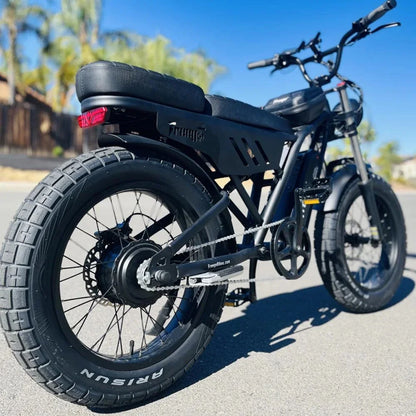 FREEGO F0 Electric Bike 20 Inch Fat Tire Off Road Ebike 48V 10.4AH Battery Powerful Mountain Electric Bicycle