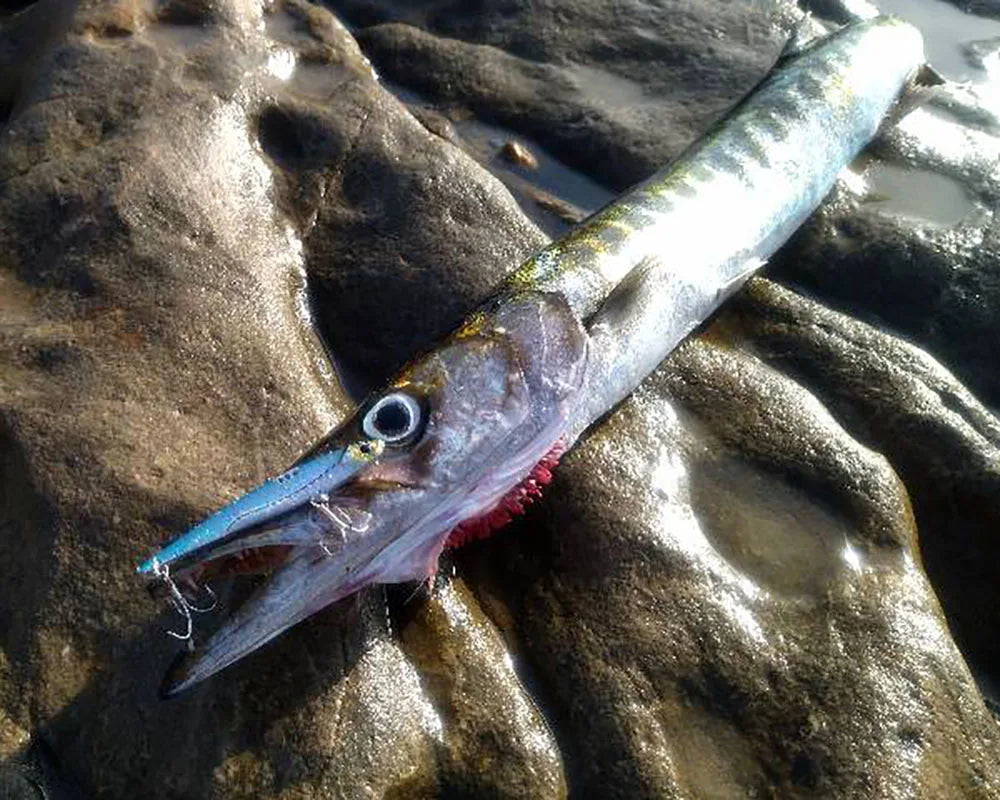 GOBAIT Metal VIB Fishing Lure Kit – 20g, 25g &amp; 30g | Holographic Laser Skin | Treble Hook | Sea, Pike &amp; Bass