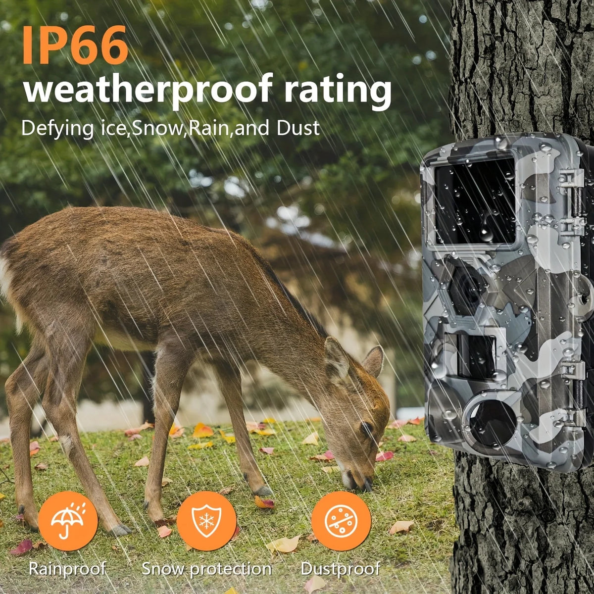 Fargarloo 60MP WiFi Trail Camera 3-Pack – 1296P HD, App Control, IP66, 32GB Each