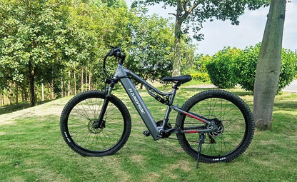 Electric Bicycle RANDRIDE YG90 1000W 48V17AH Hydraulic Brake E-bike with Full Suspension  21 Gears Shift Free Rack Electric bike