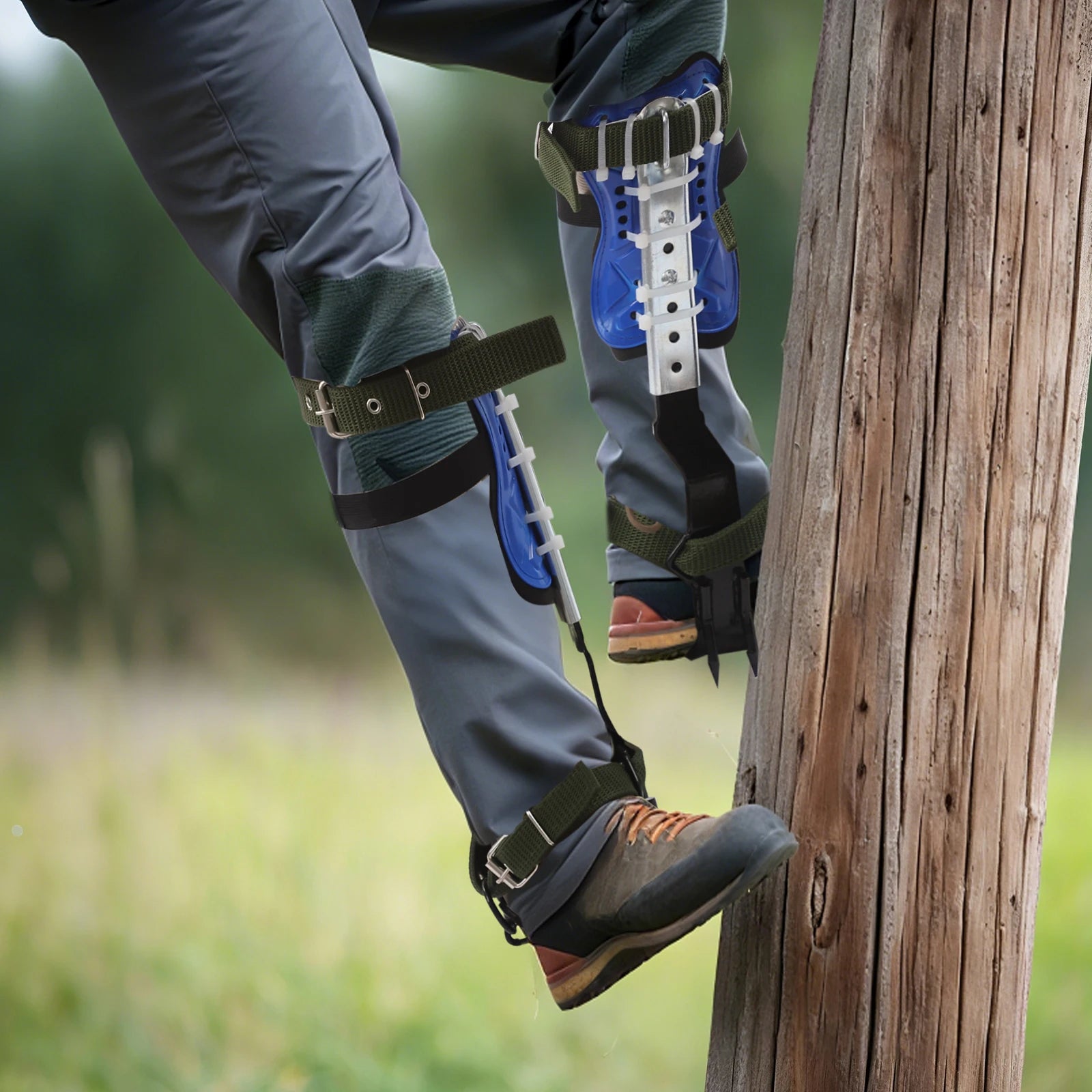Professional Tree Climbing Spikes Kit 330lb Capacity Steel Spurs with Adjustable Straps &amp; Safety Gear for Arborists &amp; Hunters