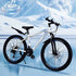 Mountain Bike Adult Mountain Bicycle24Inch2610 Inch College Student Bike with Variable Speed and Disc Brake