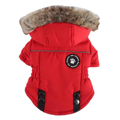 Pet Supplies Chest Back Zipper